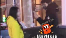 刘大锤爆料完整视频播放,独家爆料背后的真相与细节